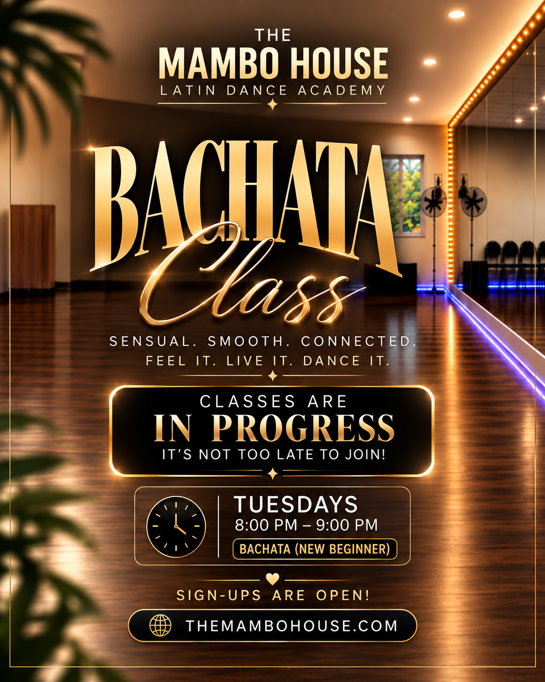 Bachata classes in progress - Tuesdays 8:00 PM to 9:00 PM, new beginner, sign-ups are open